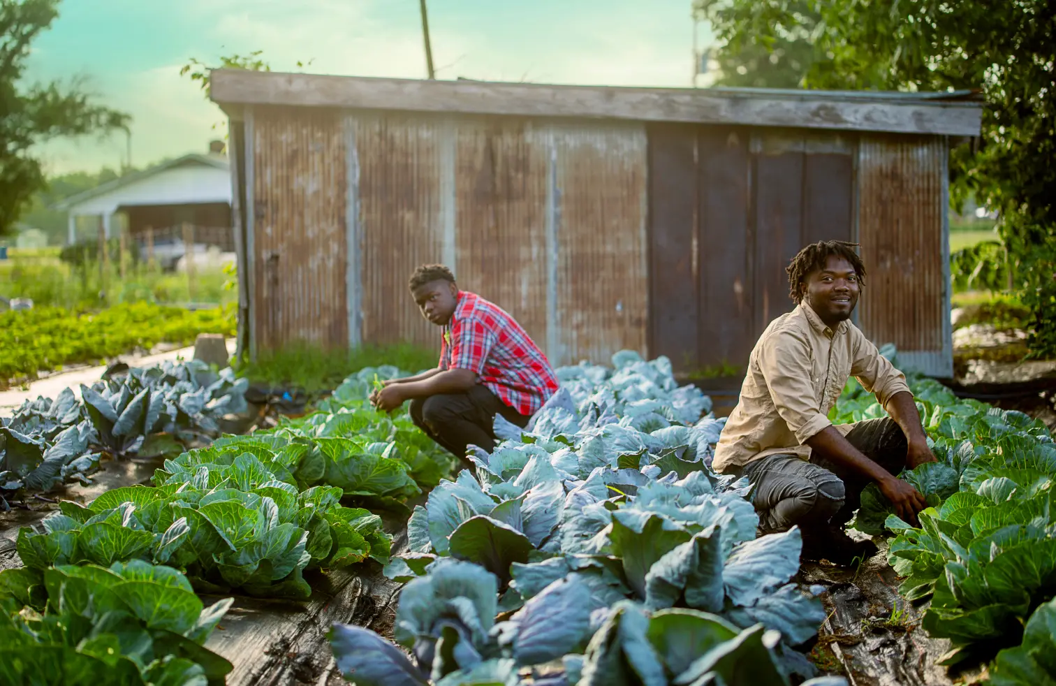 Educational workshop session