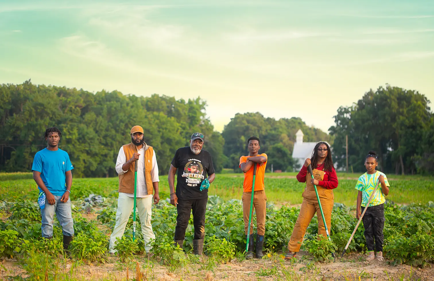 Cultural heritage showcase